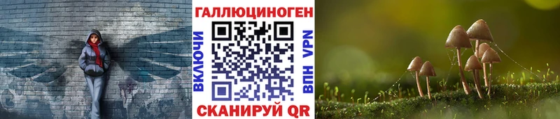 закладки  Сатка  Псилоцибиновые грибы мухоморы 